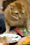 061028_20d_0045