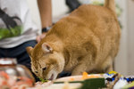 061028_20d_0047