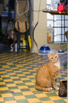 070311_20d_2456