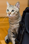 070407_20d_2825