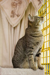 070407_20d_2908