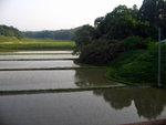 


Narita Express > ���U