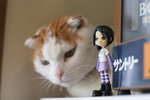 
�Ĥ@�ipinky��