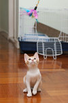 070725_20d_4670