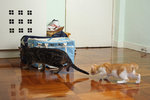070811_20d_4820