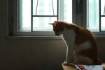 080625_20d_5672a