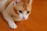 080625_20d_5701a