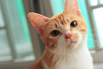 080625_20d_5702a