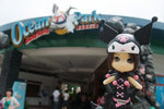 081003_f100_4868