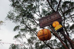 081003_f100_4874