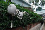 081003_f100_4876