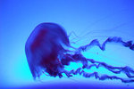 081003_f100_4927