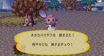 RUU_0007