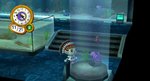 RUU_0017