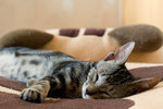 060702_20d_0001