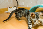 060707_20d_0012