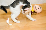 060707_20d_0013