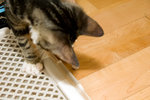 060707_20d_0022