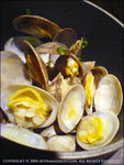 060508_w810i_0020