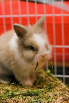 060310_20d_0017