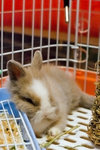060310_20d_0048
