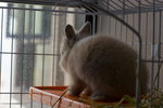 060311_20d_0002