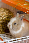 060311_20d_0014