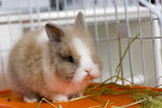 060311_20d_0025