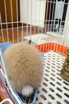 060311_20d_0043