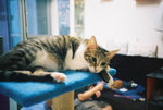 050820_lomo_0019