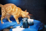 050820_lomo_0022
