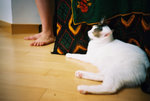050820_lomo_0025