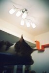 050820_lomo_0026