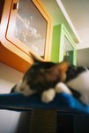 050820_lomo_0027