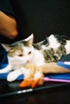 050820_lomo_0028