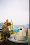 050820_lomo_0029