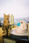 050820_lomo_0030