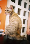 050820_lomo_0032