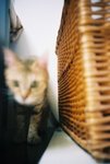 050820_lomo_0034