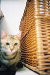 050820_lomo_0035