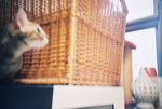 050820_lomo_0036