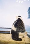 050820_lomo_0037