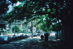 050828_lca_0002