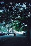 050828_lca_0003