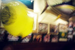 050903_lca_0002