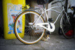 050906_lca_0002a