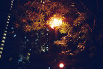 050908_lca_0006