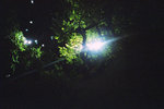 050908_lca_0007