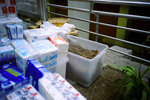 050911_lca_0001a