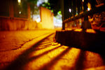 050914_lca_0026